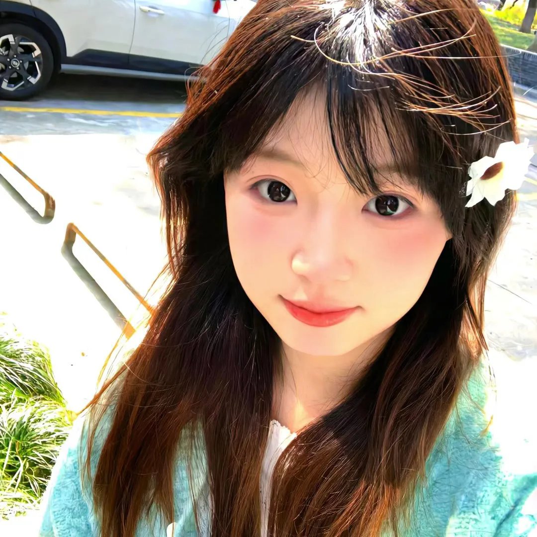 公主复仇者